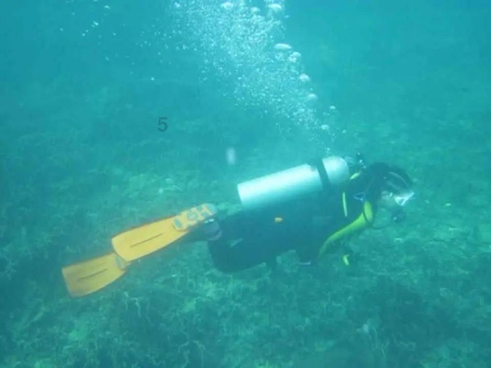 哈哈体育app官网版下载